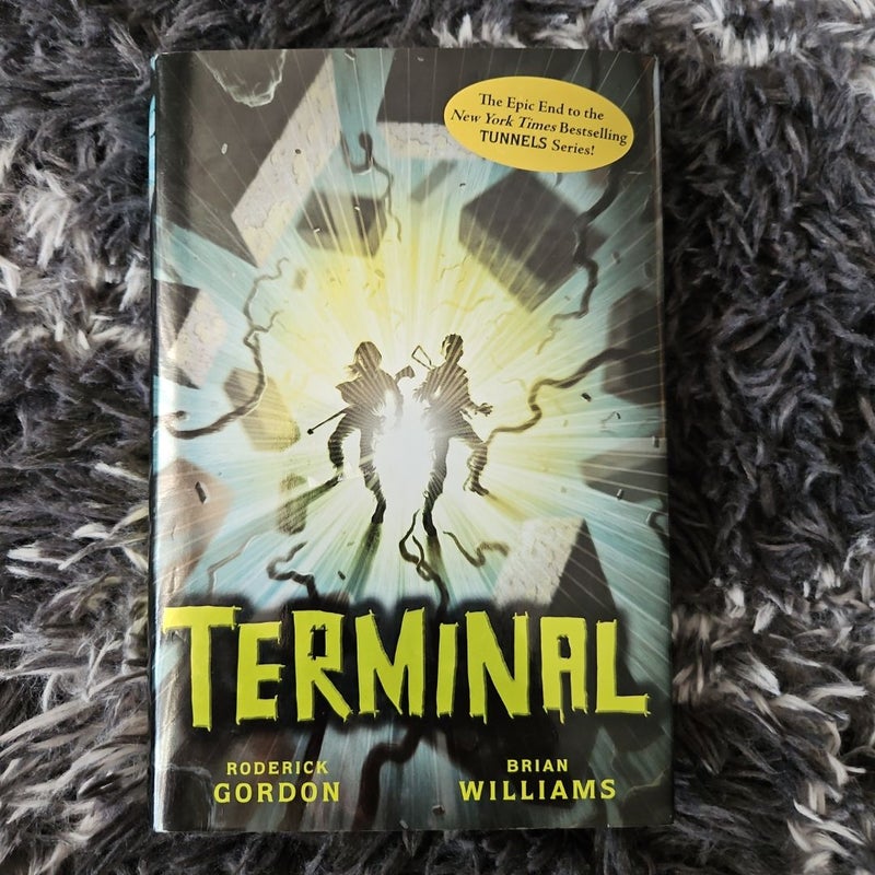 Tunnels #6: Terminal