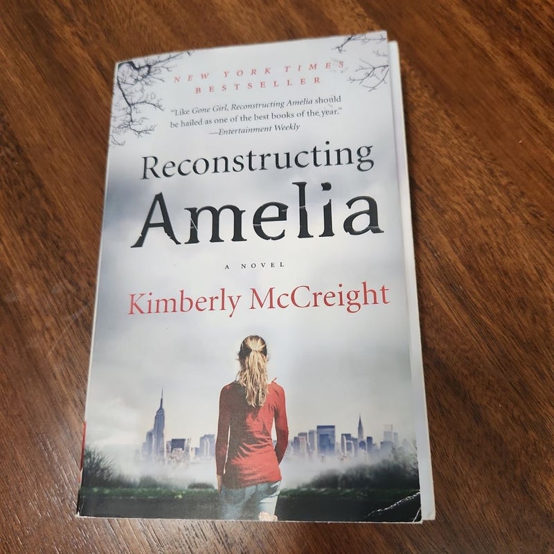 Reconstructing Amelia