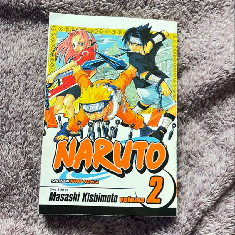 Naruto, Vol. 2