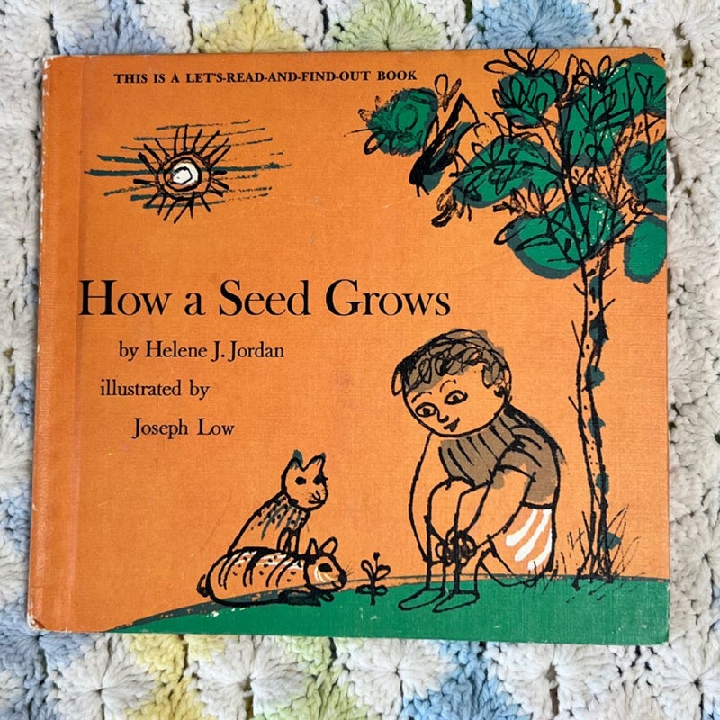 How A Seed Grows 