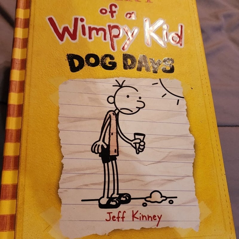 DIARY OF A WIMPY KID 5 BOOKS