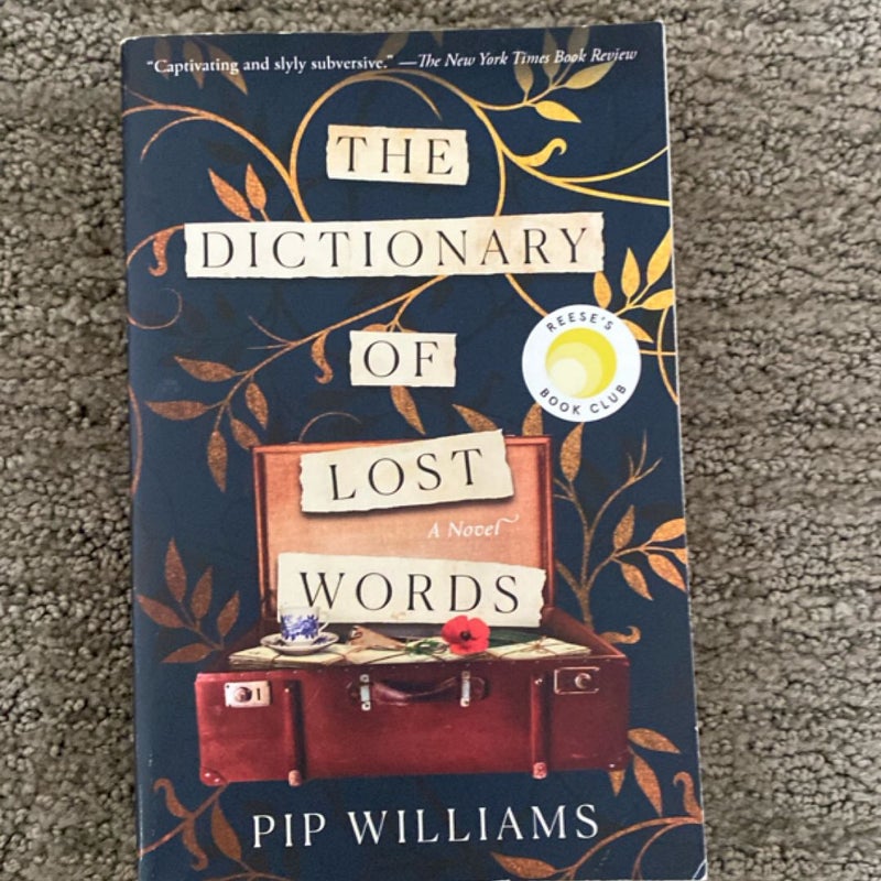 The Dictionary of Lost Words