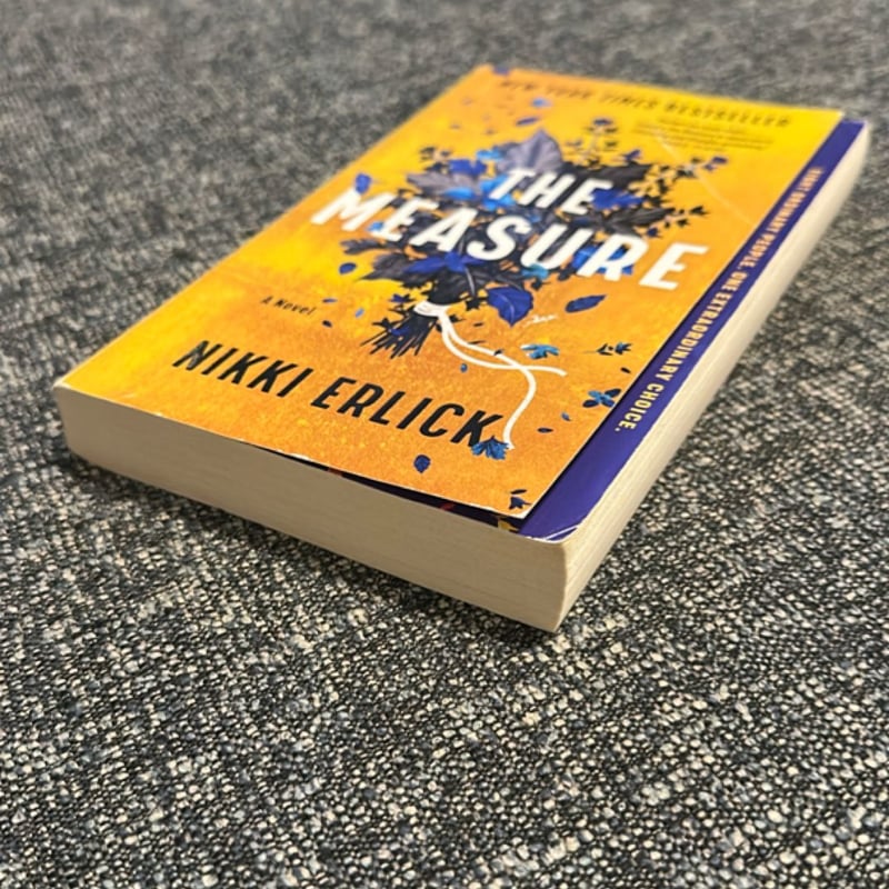 The Measure by Nikki Erlick, Paperback | Pangobooks