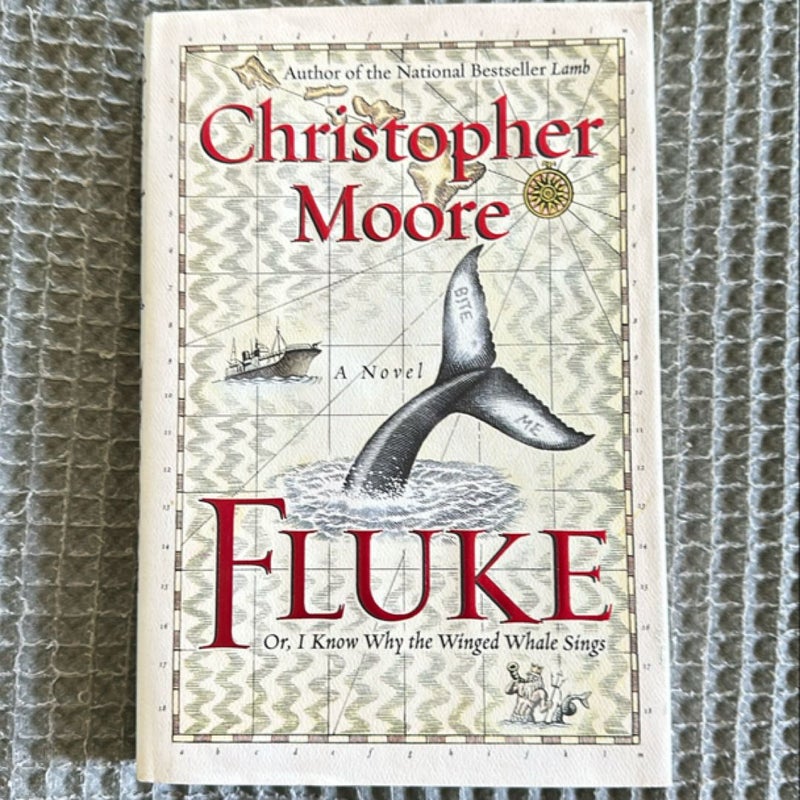 Fluke