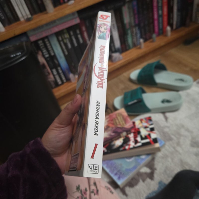 Rosario+Vampire, Vol. 1