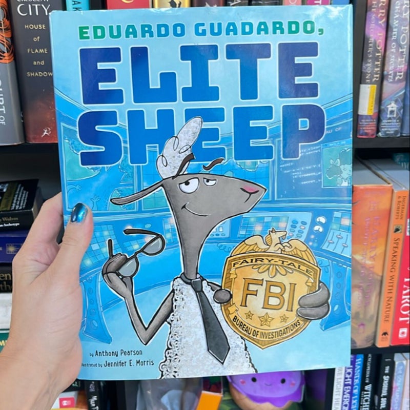 Eduardo Guadardo, Elite Sheep