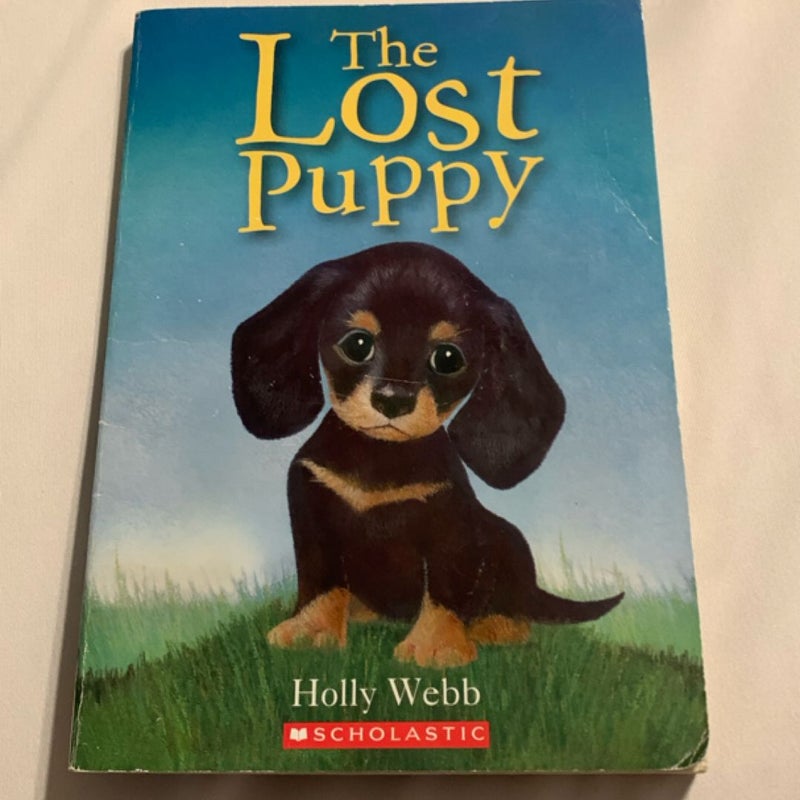 The Lost Puppy