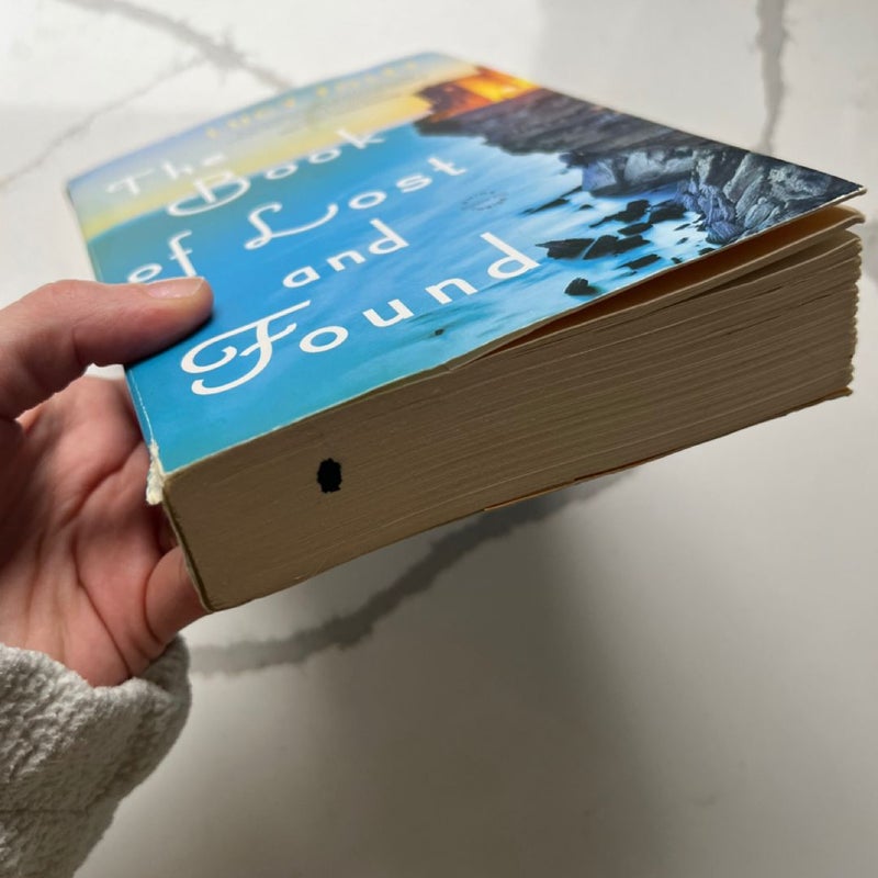 The Book of Lost and Found