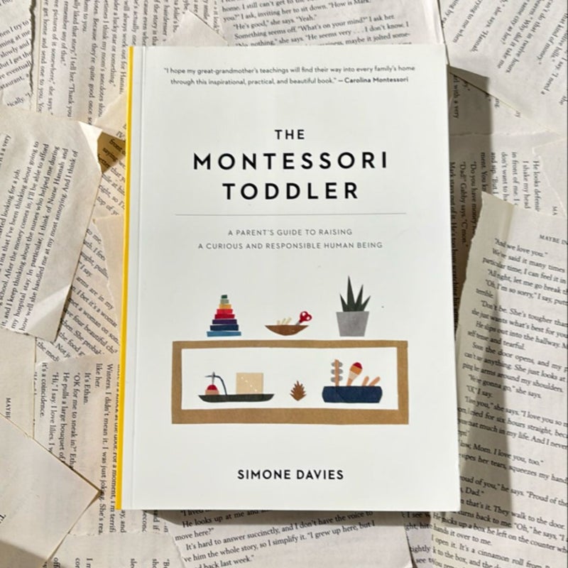 The Montessori Toddler