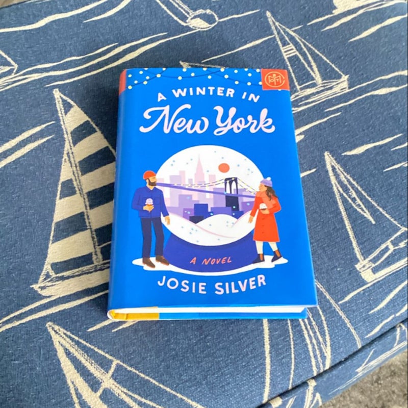 A Winter in New York