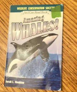 Amazing Whales!