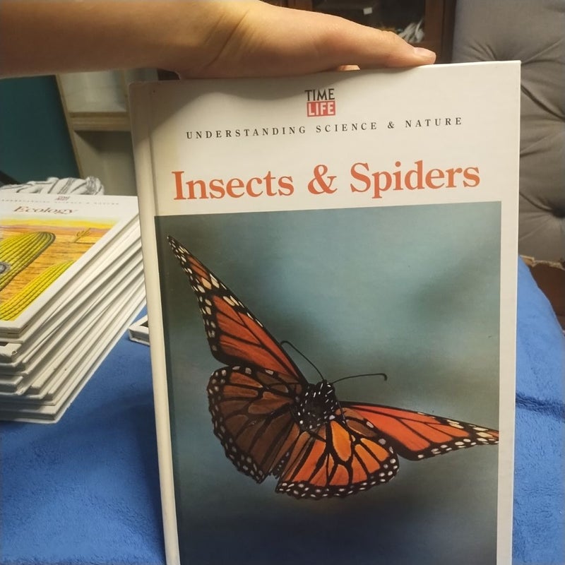 Insects and Spiders