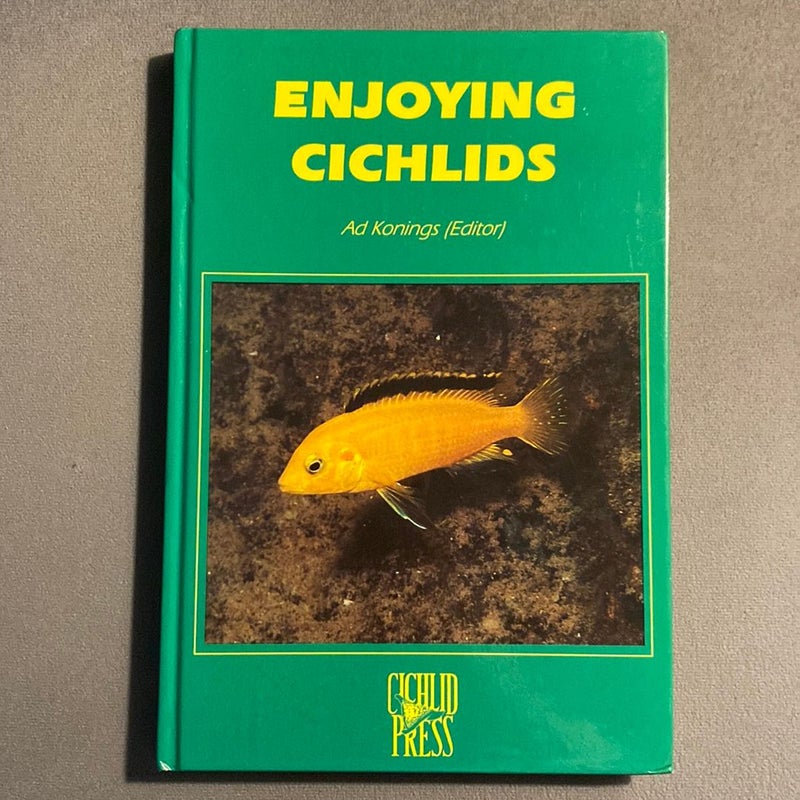 Enjoying Cichlids