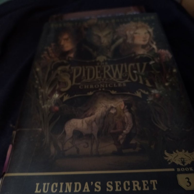 Lucinda's Secret
