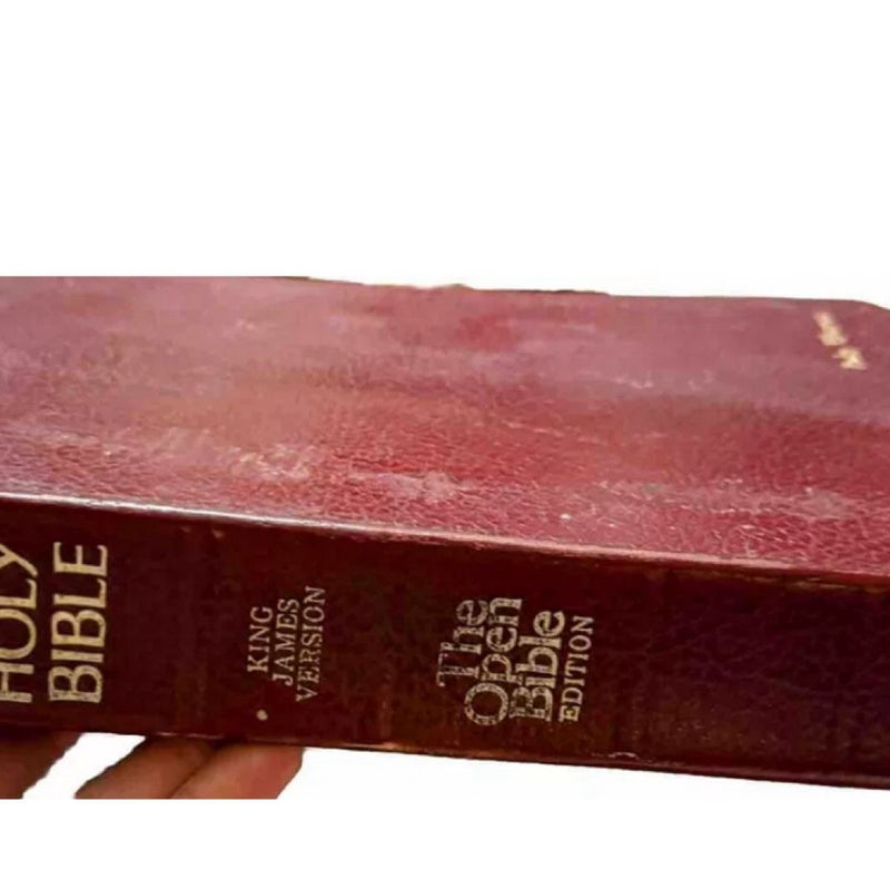 The Open Bible Edition King James Version-Burgundy Imitation Leather Cover