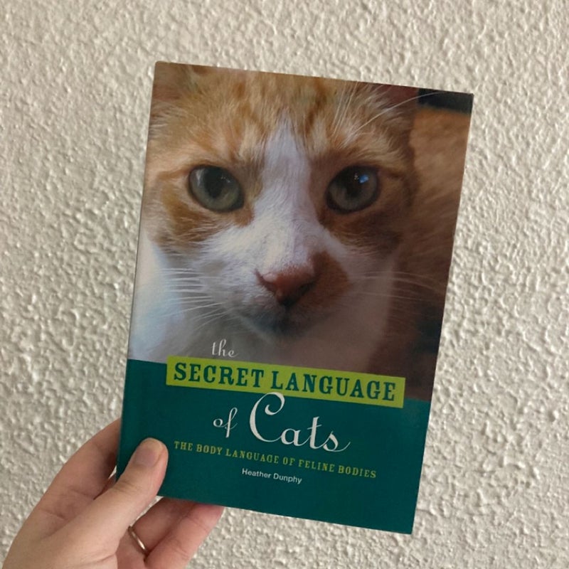 The Secret Language of Cats