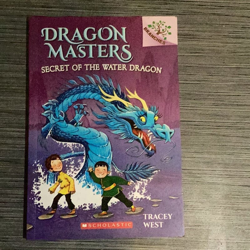 Dragon Masters Bundle 