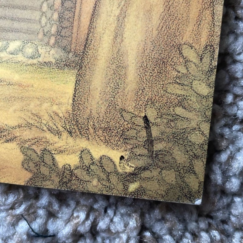 The Deer in the Wood