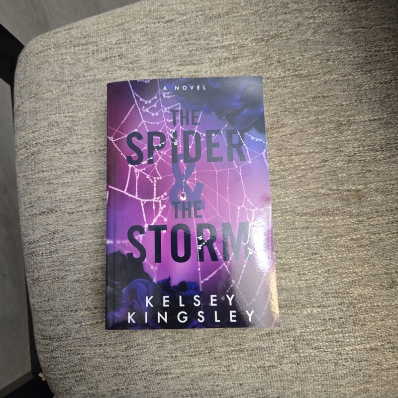 The Spider and the Storm