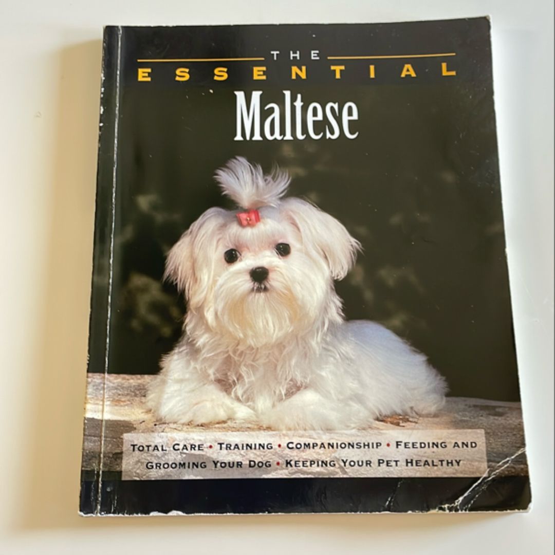 The Essential Maltese