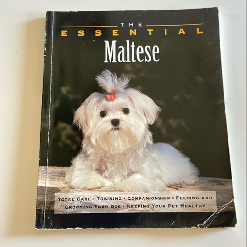 The Essential Maltese