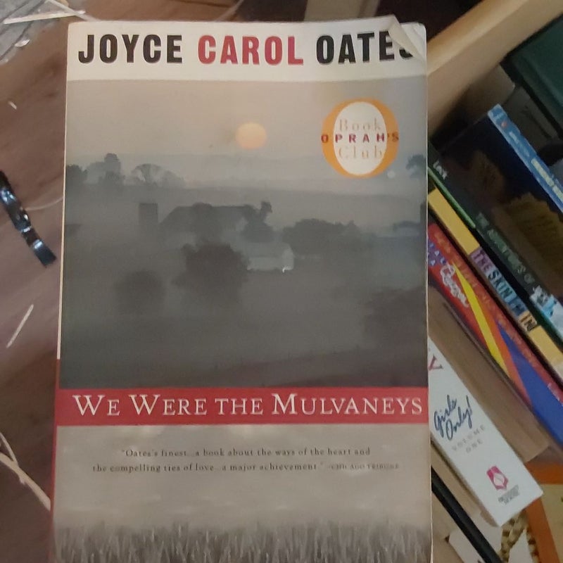 We Were the Mulvaneys