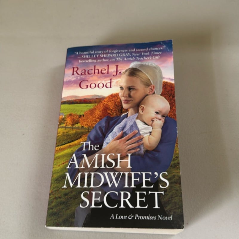The Amish Midwife's Secret