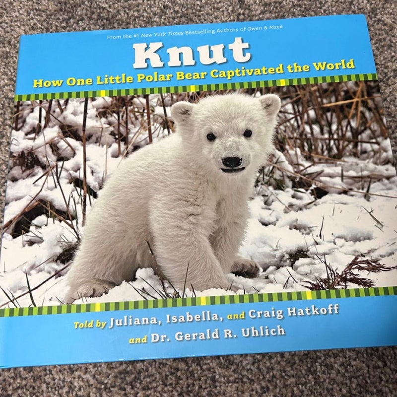 Knut