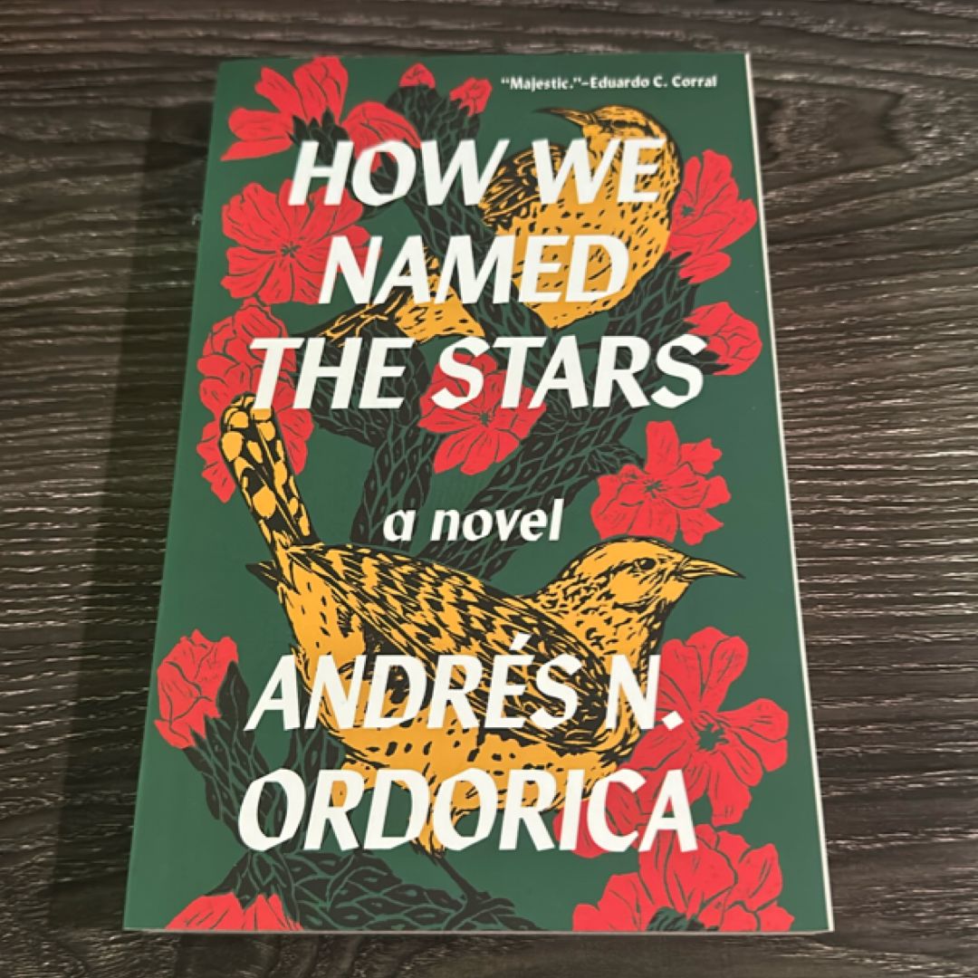 How We Named the Stars