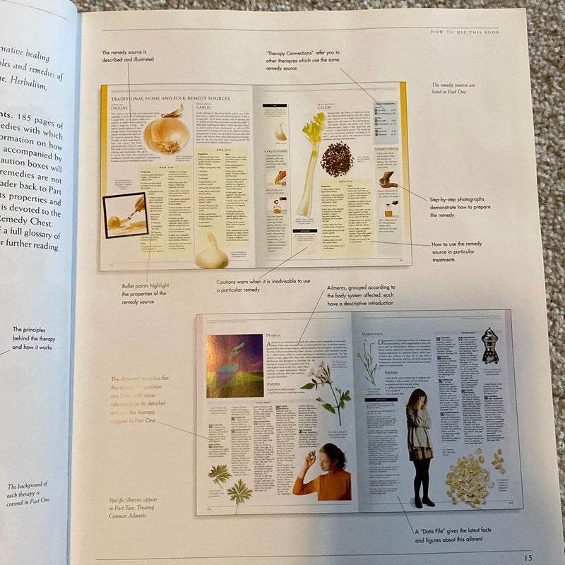 Illustrated Encyclopedia of Healing Remedies