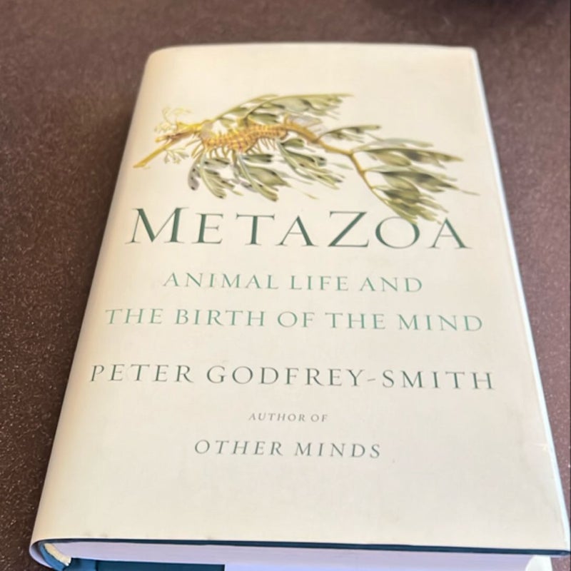 Metazoa