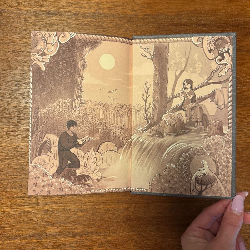 After the Forest - Illumicrate Exclusive Edition