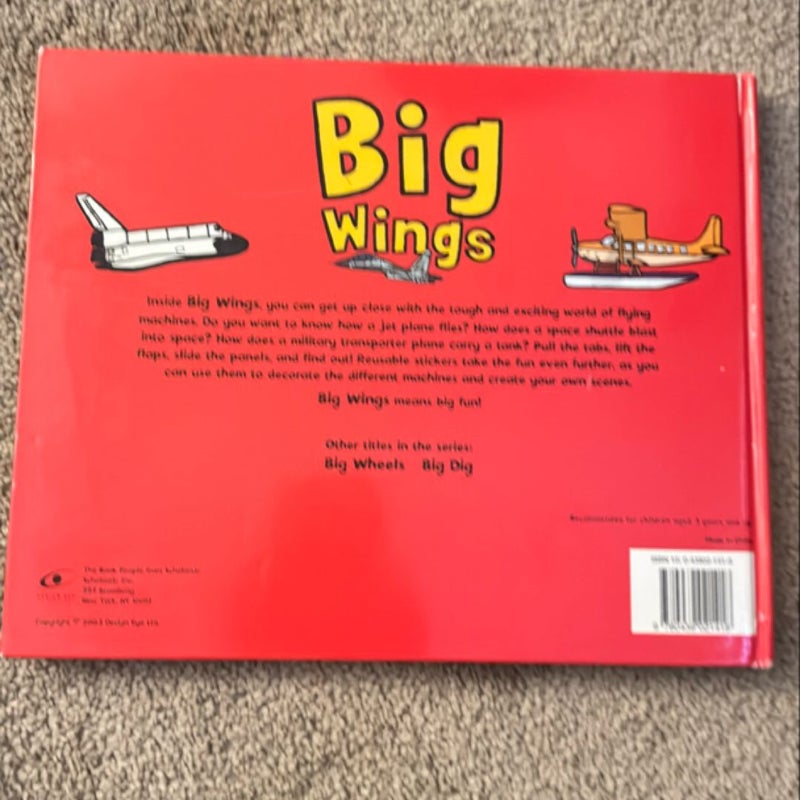 Big Wings