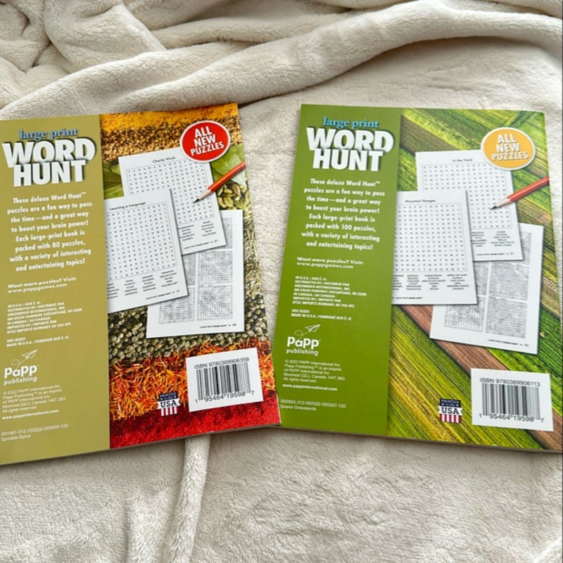 Large Print Word Hunt 