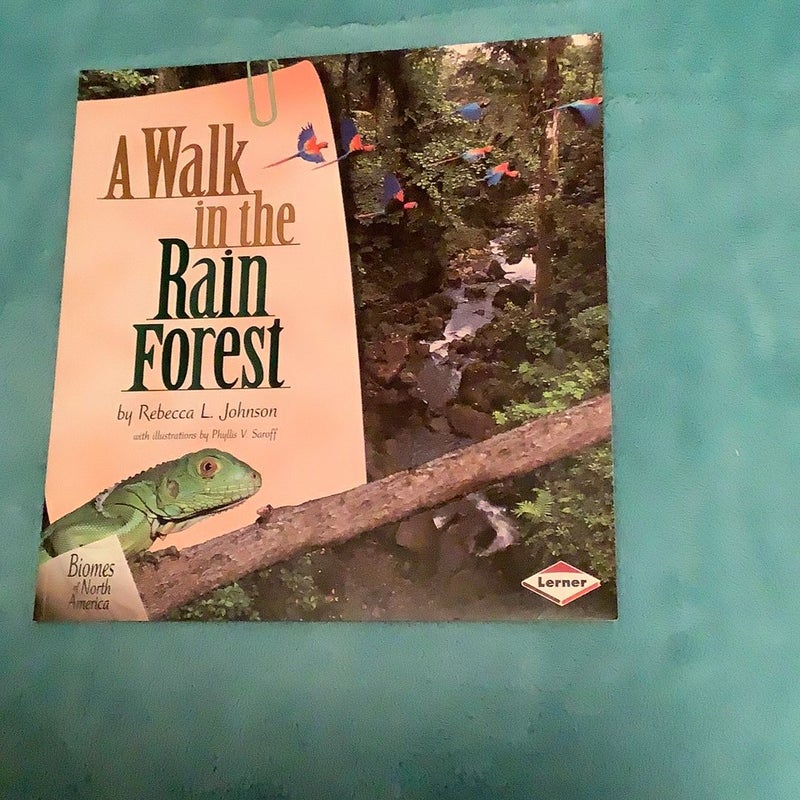 A Walk in the Rain Forest