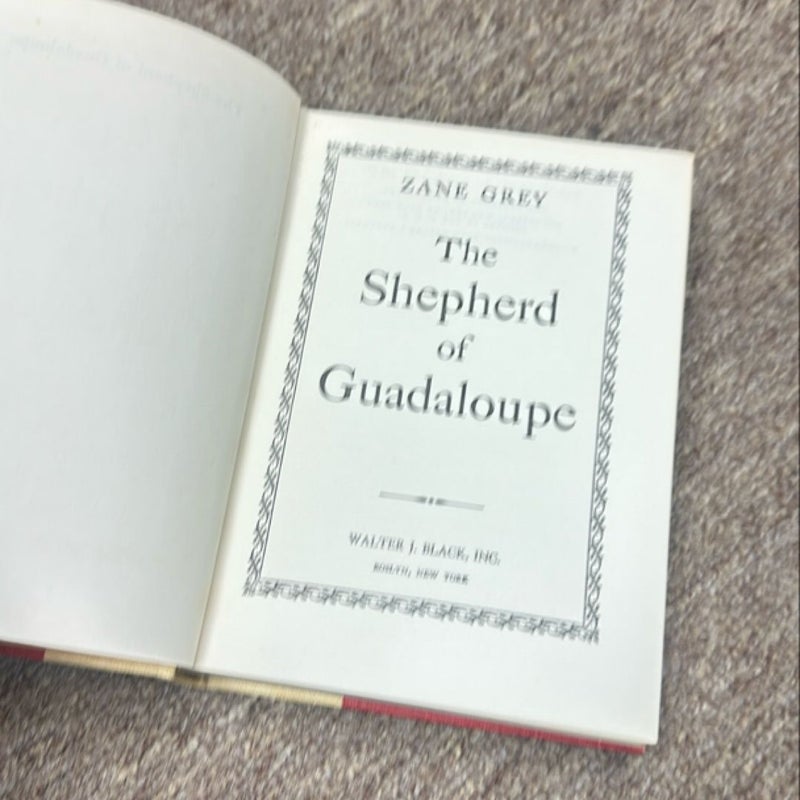 The Shepherd of Guadalupe
