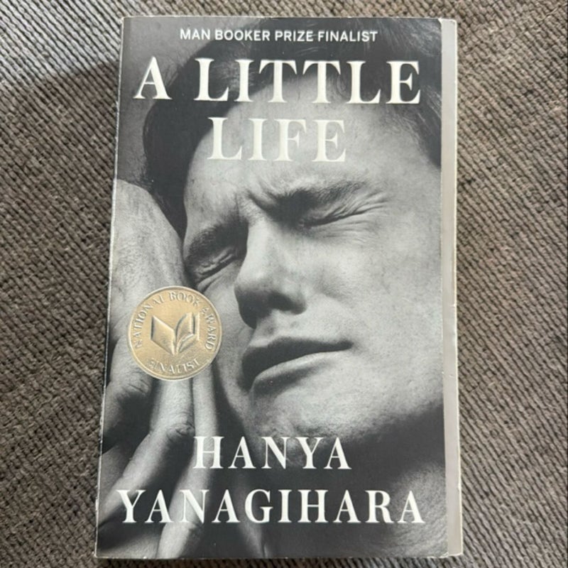 A Little Life