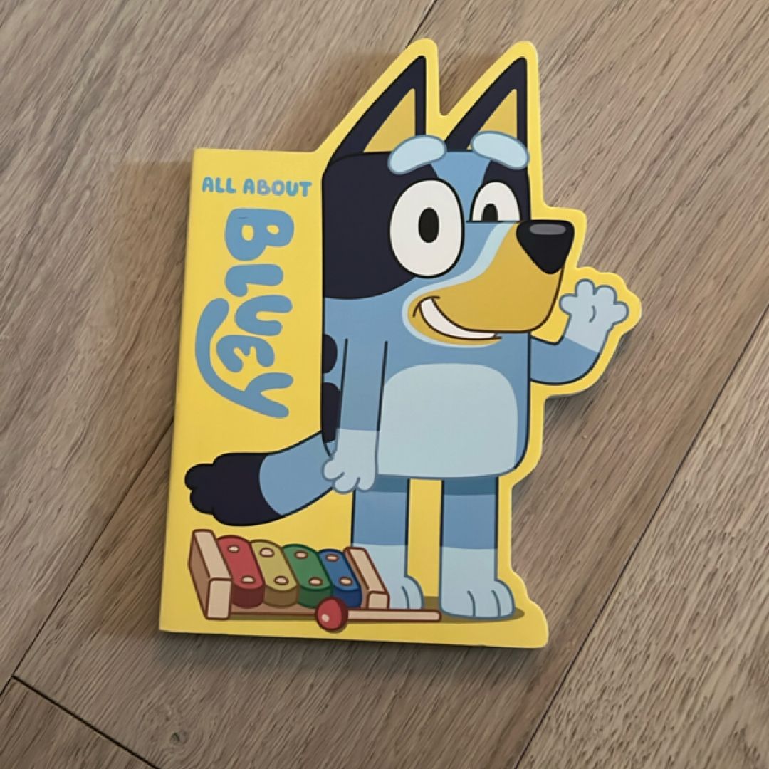 All about Bluey