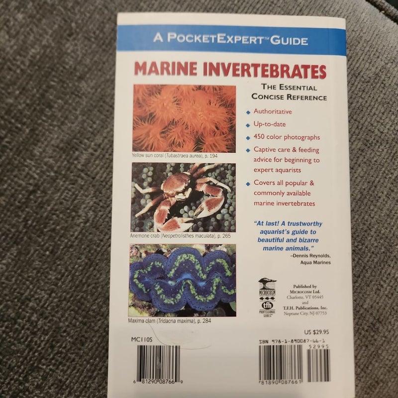 A PocketExpert Guide to Marine Invertebrates