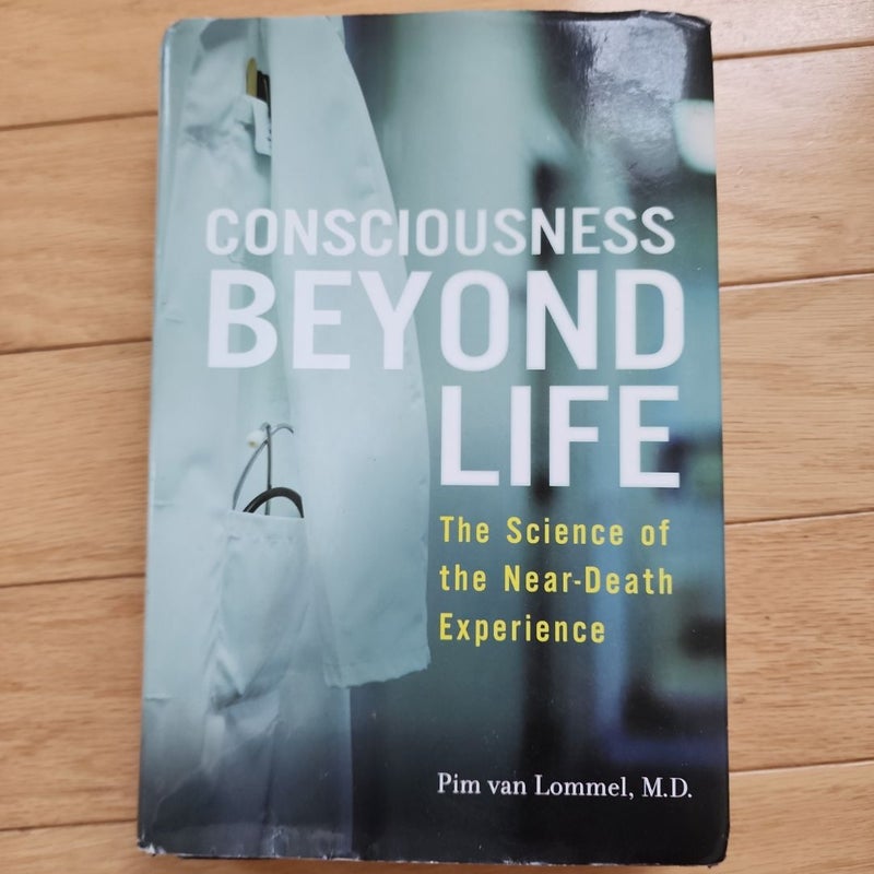 Consciousness Beyond Life