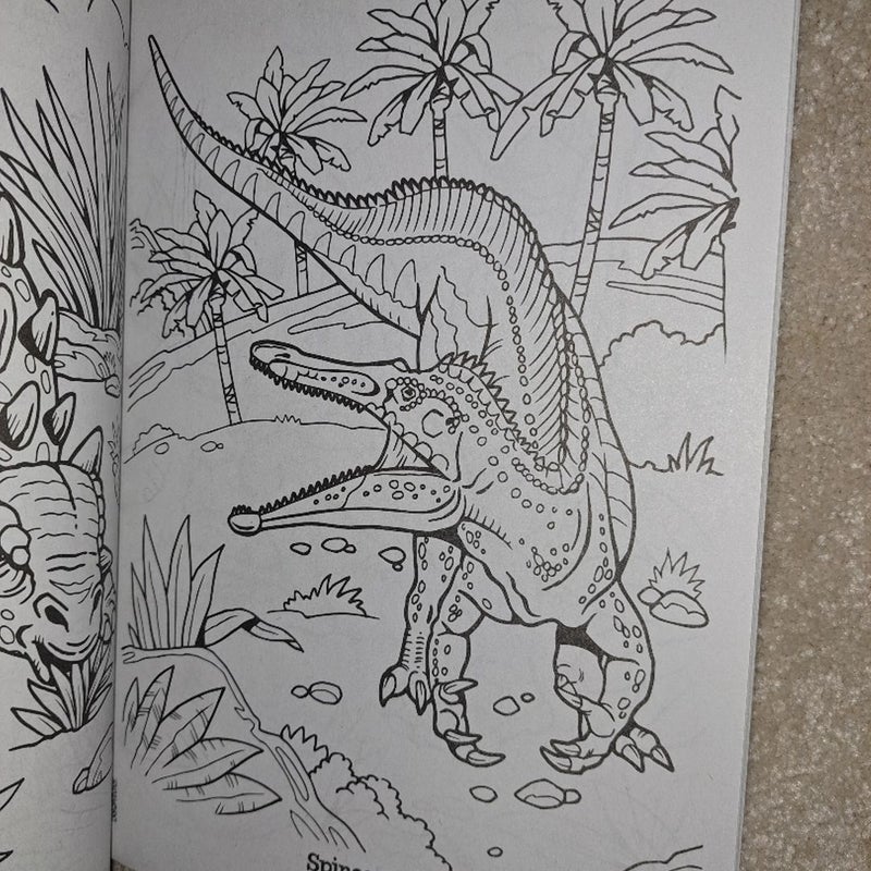 2 Dinosaurs Coloring Books