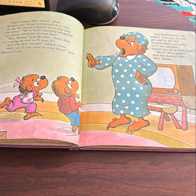 The Berenstain Bears and Too Much TV