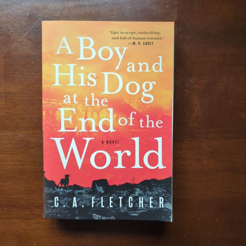 A Boy and His Dog at the End of the World