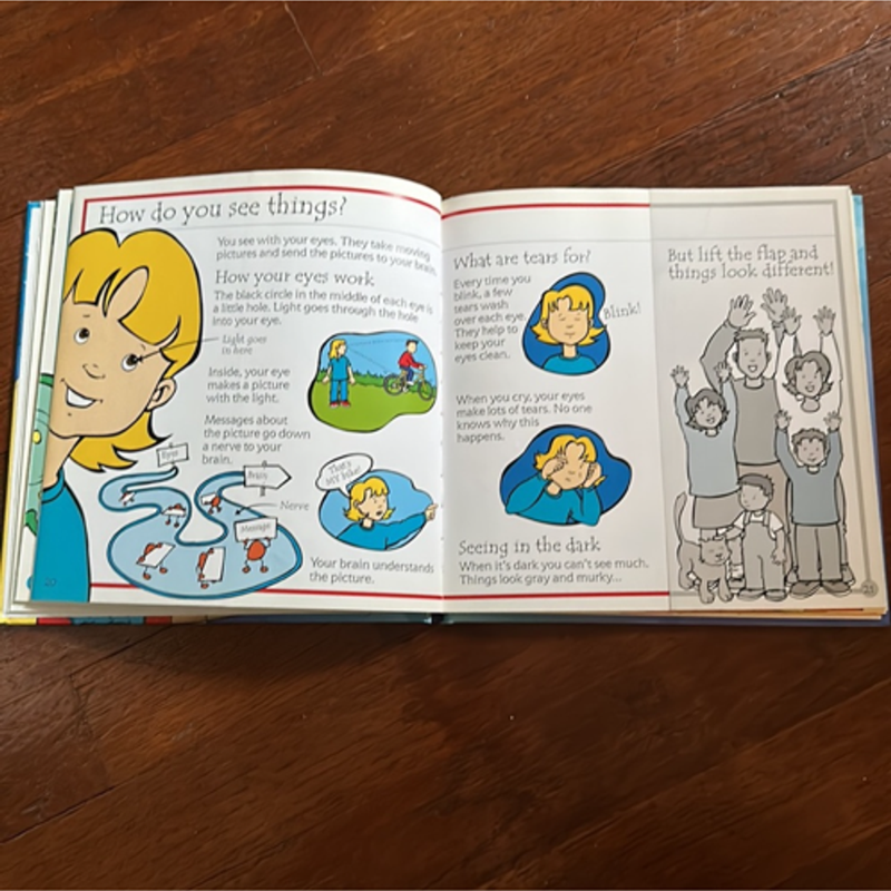 The Usborne Flip-Flap Body Book