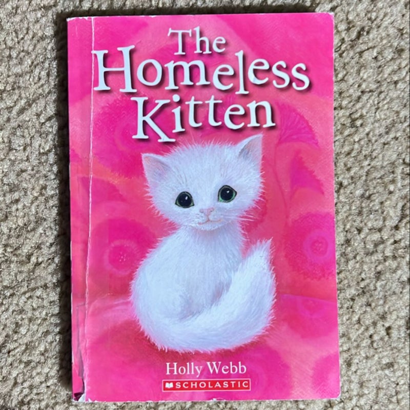 The Homeless Kitten