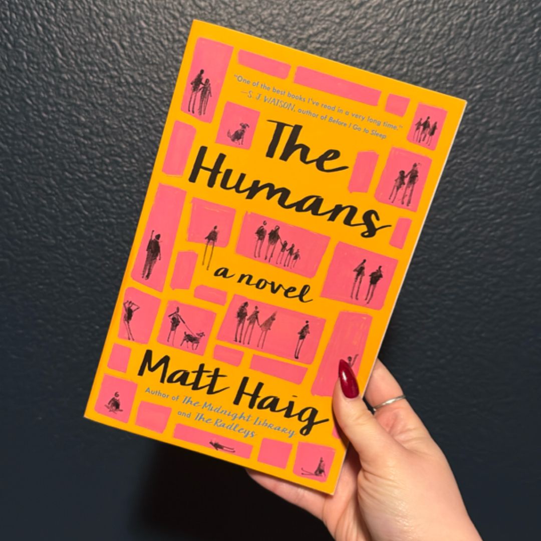 Sale image for 9c461e7a-bb62-4b83-a30e-f464cd518399-GZAEo3jwyIhSHMTaCk2xqZvJtsl2