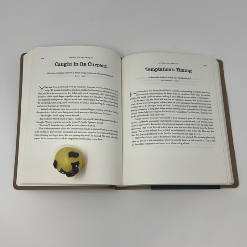 Every Day with Jesus