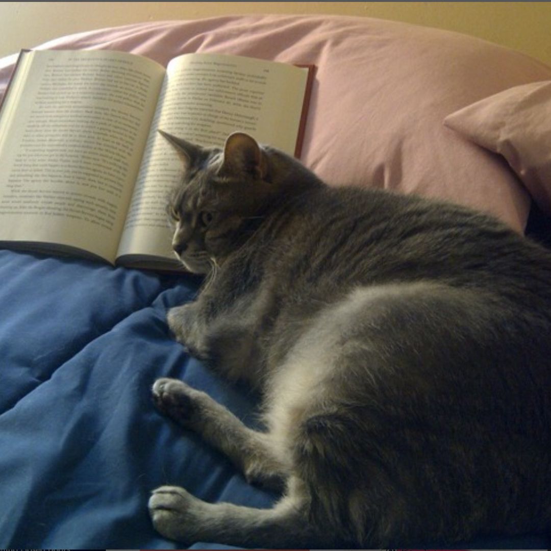 Must Read Books