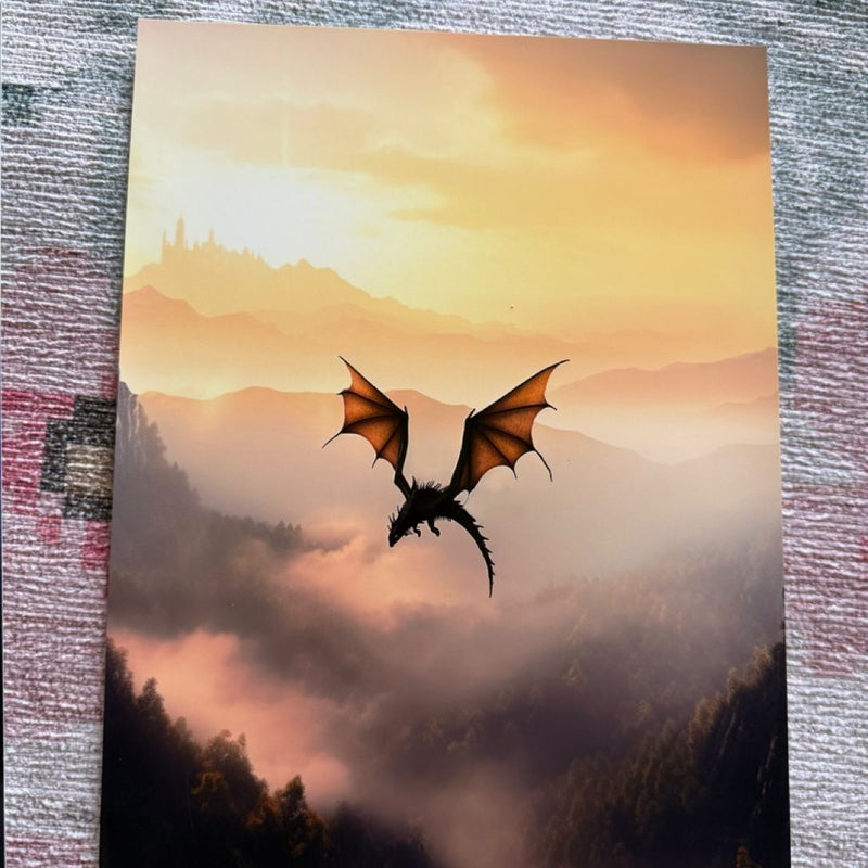 Fourth wing prints 