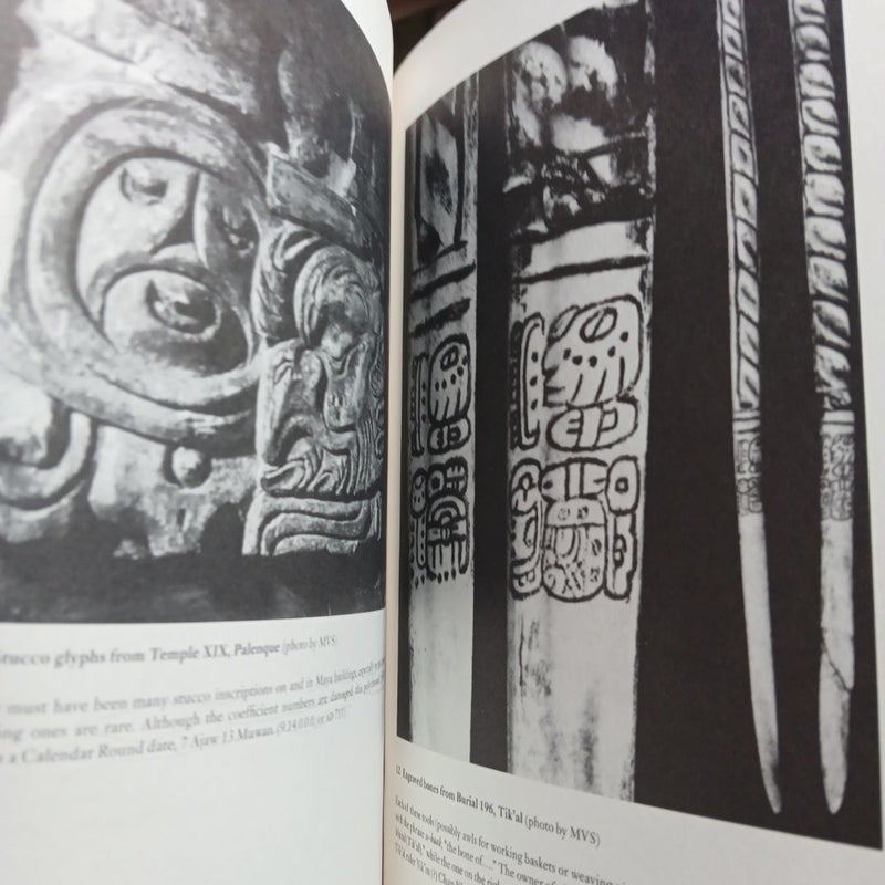 Reading the Maya Glyphs